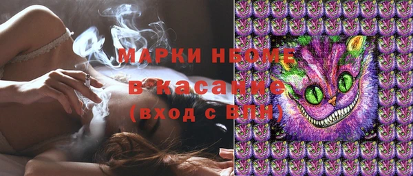 apvp Инсар