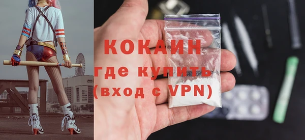 apvp Инсар