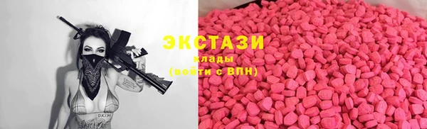 apvp Инсар