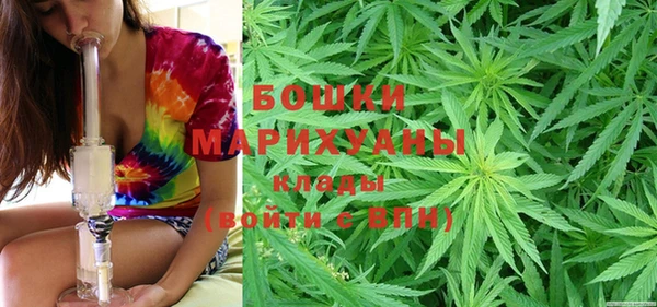 сатива Иннополис