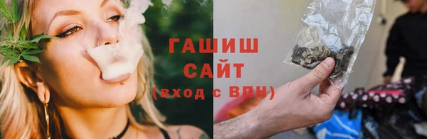 spice Инта