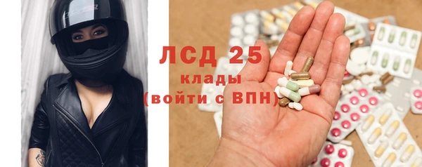 сатива Иннополис