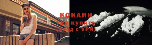 сатива Иннополис