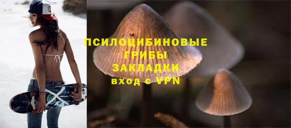 apvp Инсар