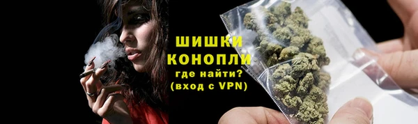 apvp Инсар
