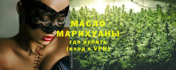 spice Инта