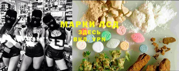 spice Инта
