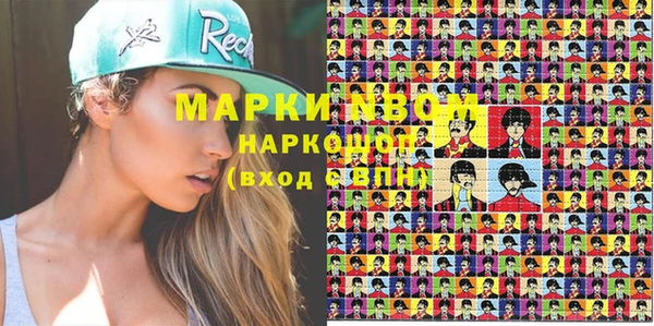 сатива Иннополис
