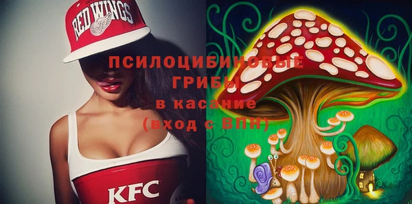 сатива Иннополис