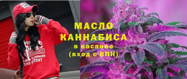 apvp Инсар