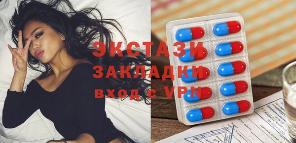 spice Инта
