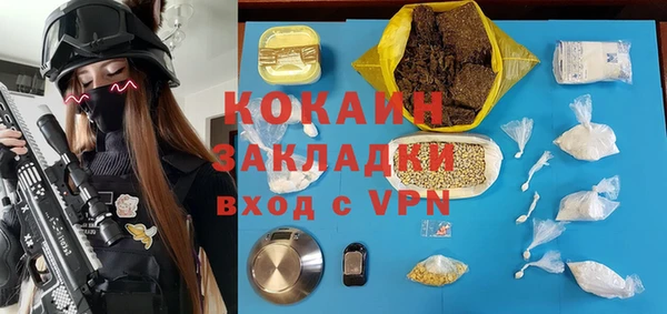 сатива Иннополис