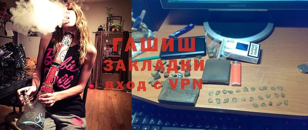 spice Инта