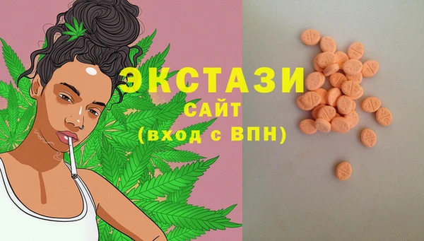 стаф Каменногорск