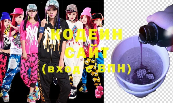 spice Инта