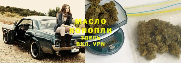стаф Каменногорск
