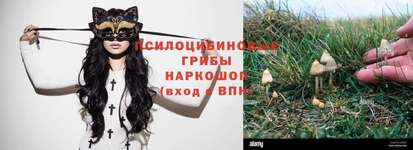 spice Инта