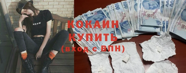 сатива Иннополис