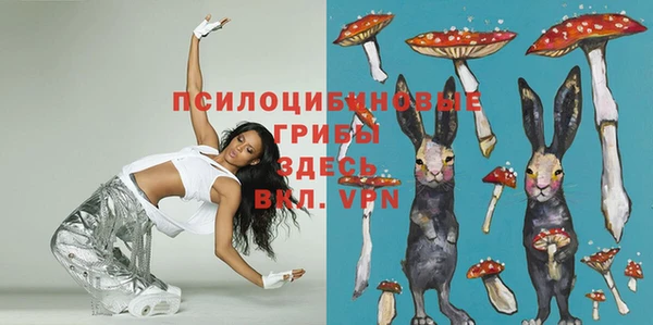 сатива Иннополис