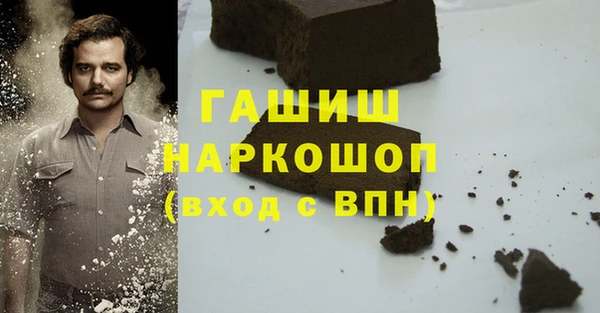 spice Инта